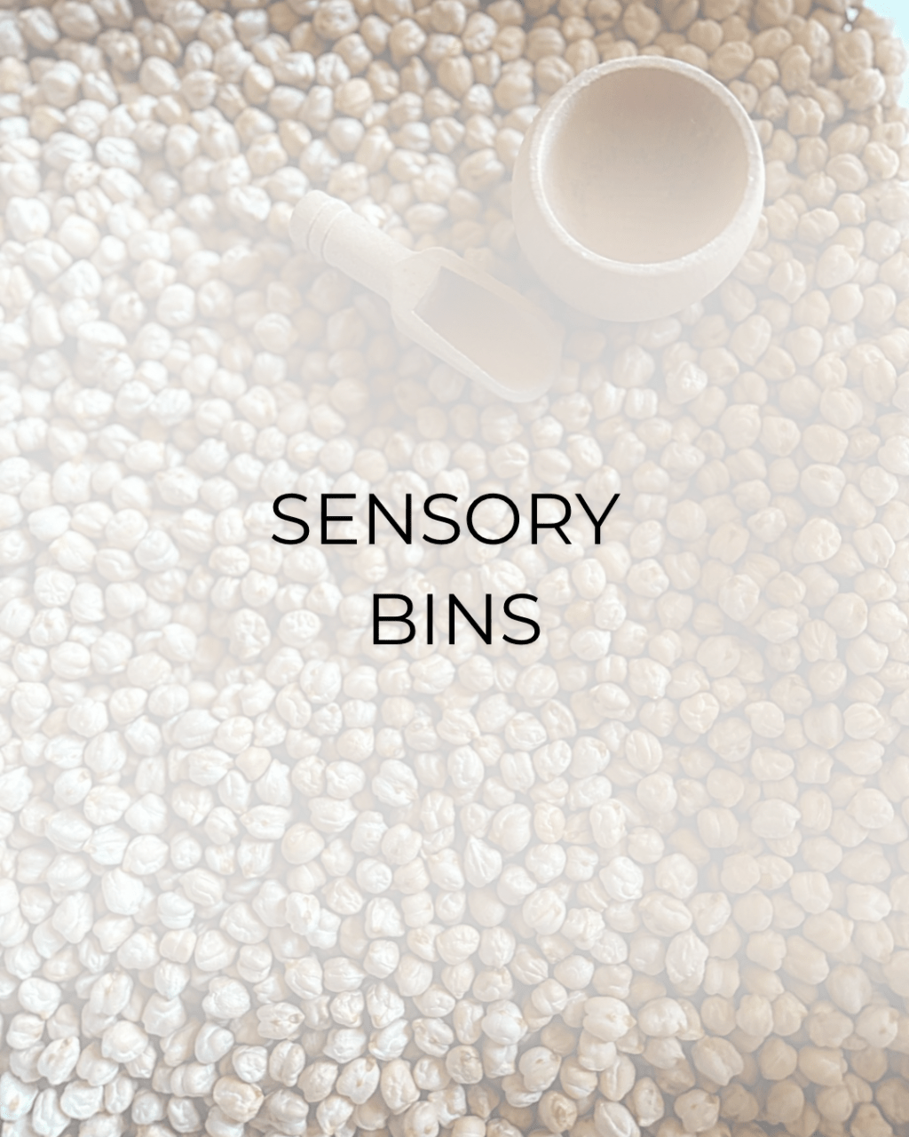 Sensory Bins